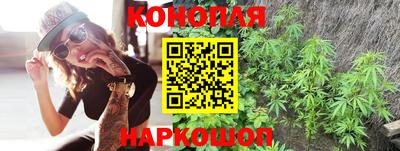 крисы Дубна