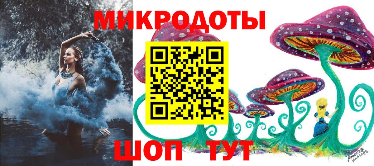 Псилоцибиновые грибы мицелий Ейск