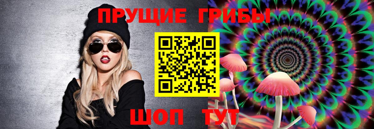 Ейск  Псилоцибиновые грибы Cubensis  Вход с VPN  Псилоцибиновые грибы ЛСД 